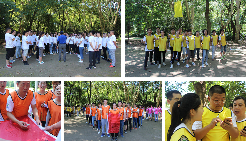 龍勝管拓展訓練燃爆夏日，我們“激情不減，活力無限”